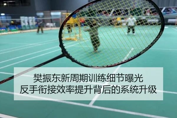 樊振东新周期训练细节曝光 反手衔接效率提升背后的系统升级